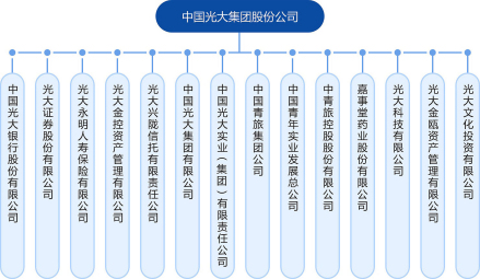 中国光大集团组织架构