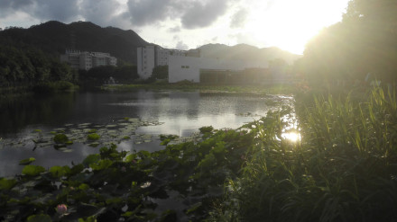 岁月湖日落