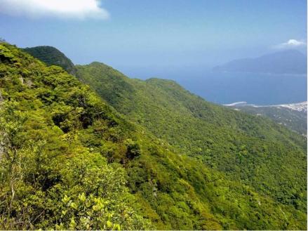 排牙山