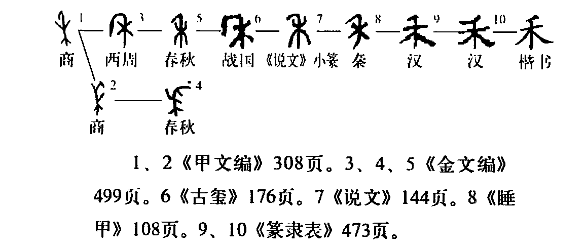 字形演变流程图 