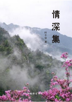 《情深集》叶千华著