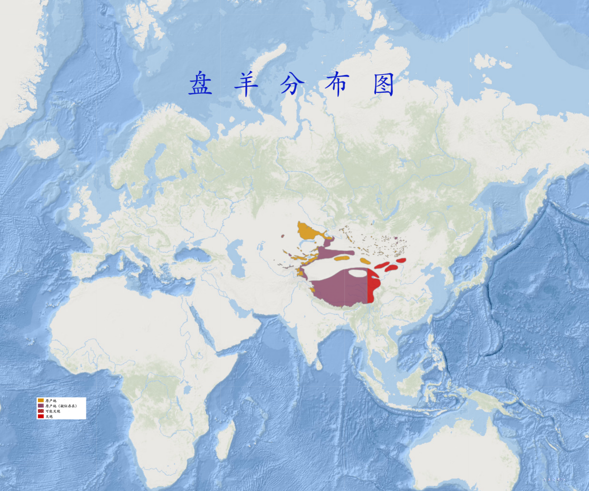 盘羊分布图
