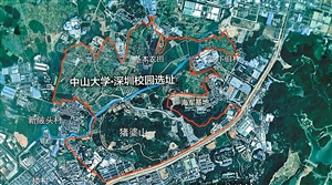 中山大学深圳校区选址