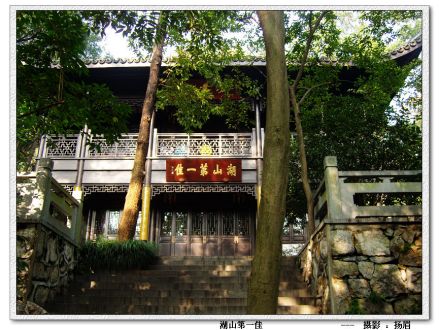 龙井问茶