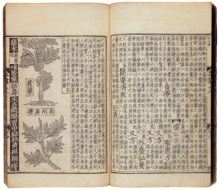 本草图经