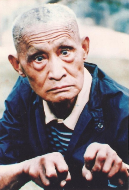 武术汇宗