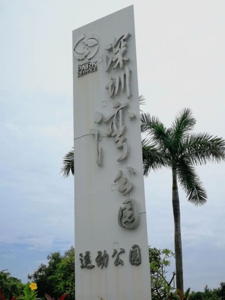 深圳湾公园