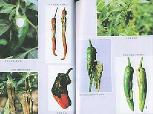化学防治