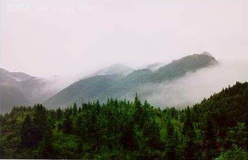 九岭山