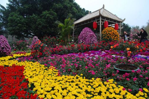 市级专类花木公园