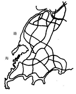 图8 青岛市自由式路网