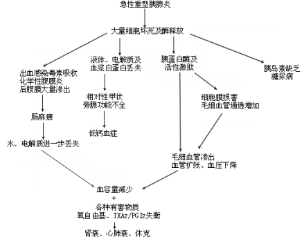 尿淀粉酶的检查介绍