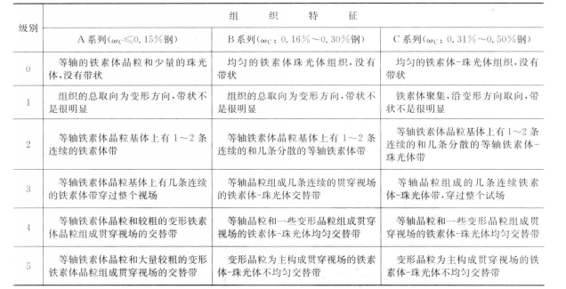 图2 带状组织评定