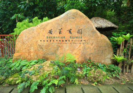 苦苣苔园