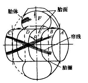 图5：斜交轮胎成型过程与结构 