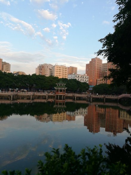 公明街道风光