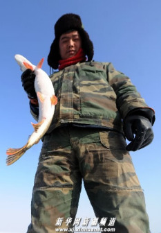 乌伦古湖冬捕景象