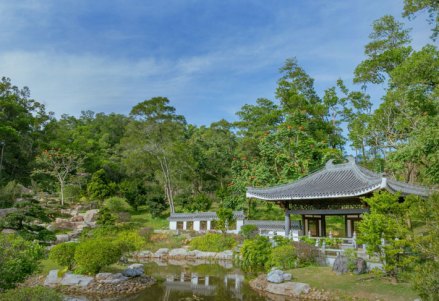 罗汉松园