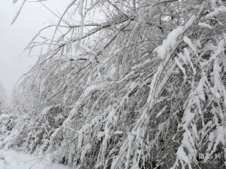 暴雪