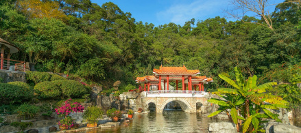 盆景园