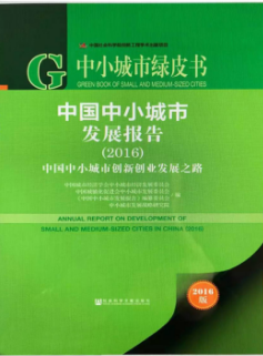 中小城市绿皮书