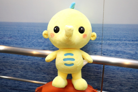 海马迪迪