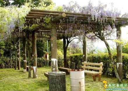 嶂山森林公园