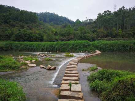 坪地湿地公园