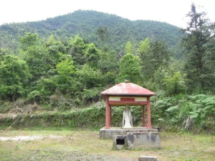 张仪井