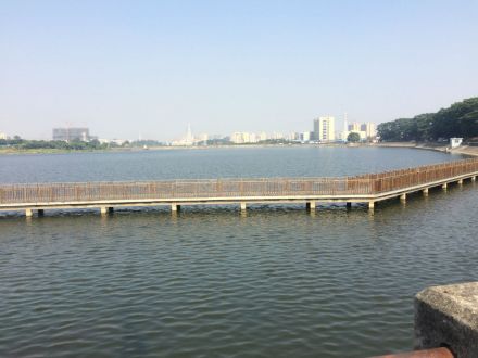 立新湖