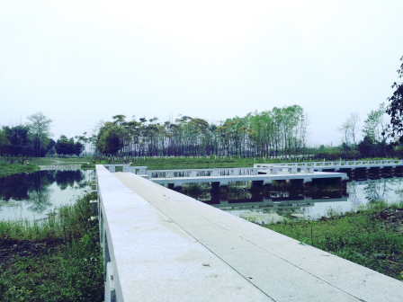 西北村湿地