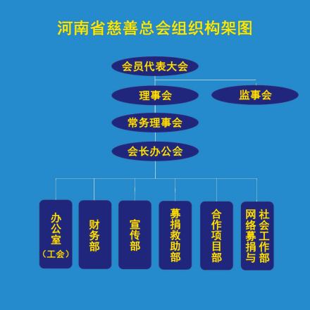 河南省慈善总会组织构架图