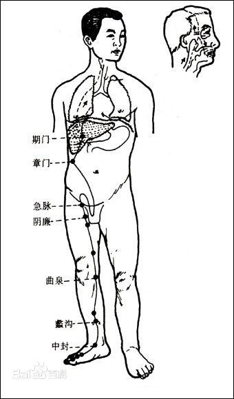 人体十二经脉