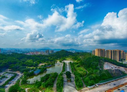 燕罗街道风景