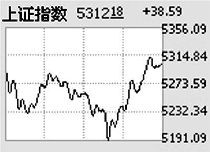 中国神华能源股份有限公司