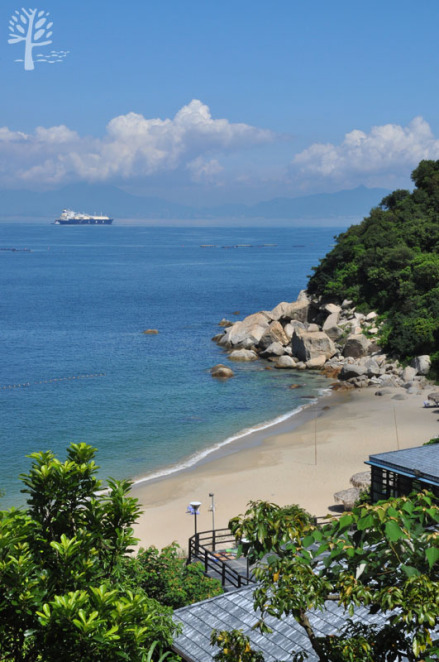 深圳南澳南隆股份合作公司柚柑湾度假村