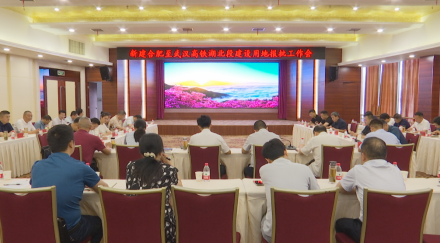 新建合肥至武汉高铁湖北段建设用地报批工作会