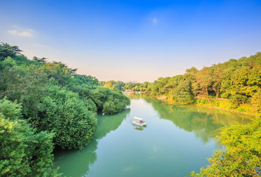 映山湖