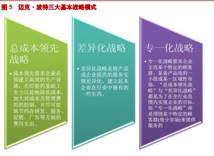 专一化战略