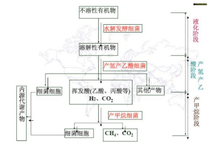 沼气发酵三阶段理论