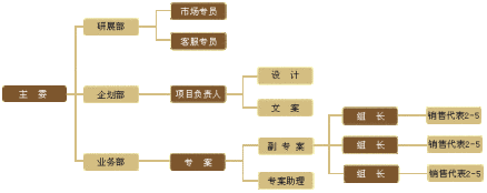 项目执行人员架构
