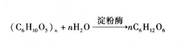 淀粉与淀粉酶的反应 