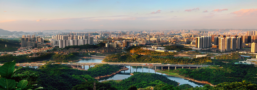 大脑壳山上看民治街道