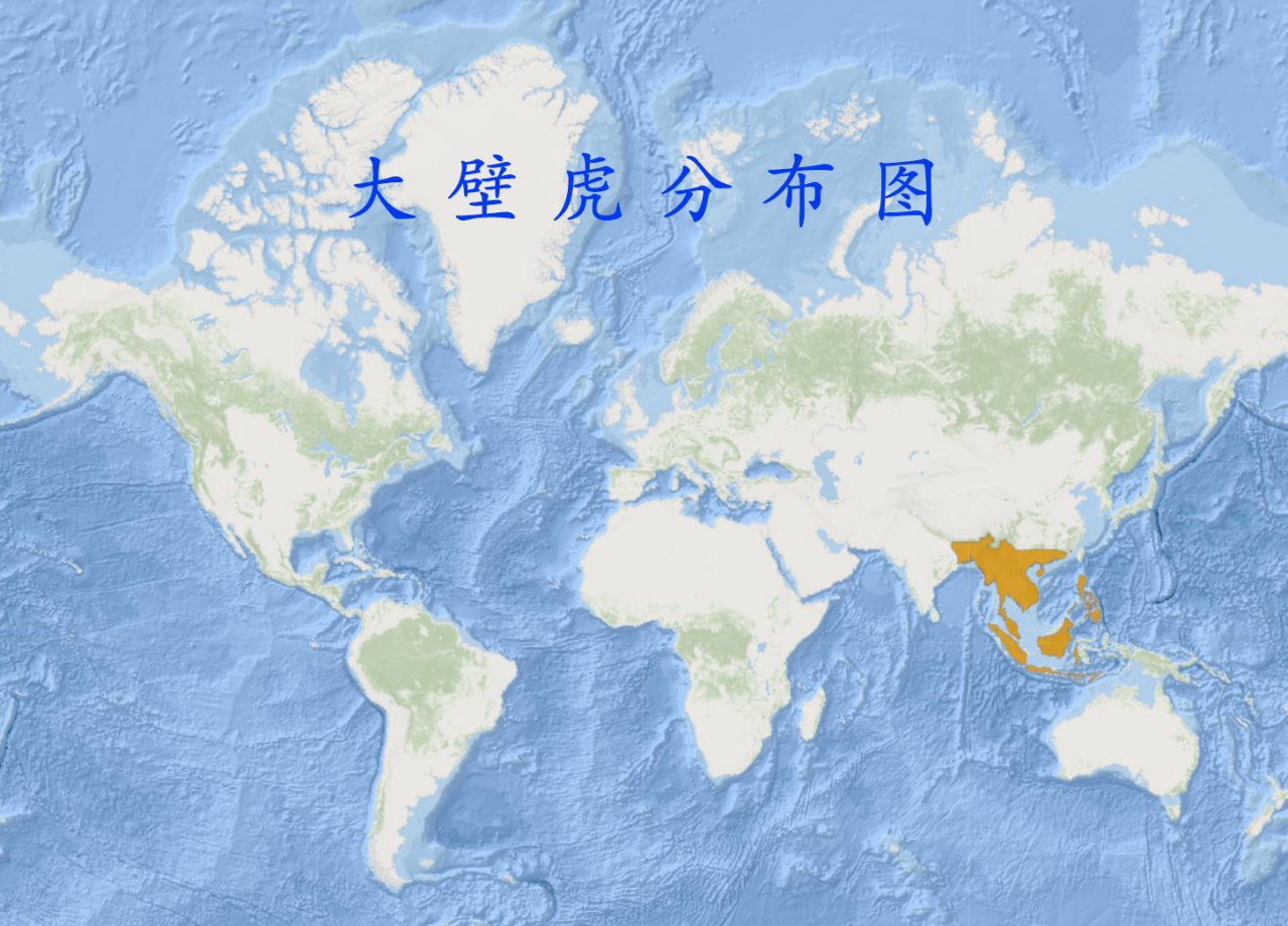 大壁虎分布图 