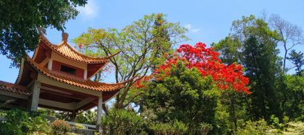 两宜亭