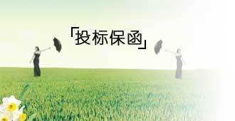 投标保函