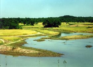 嶂山森林公园