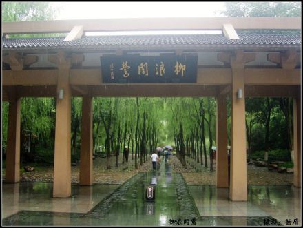 柳浪闻莺
