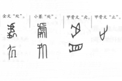 汉字“处”的不同字形 