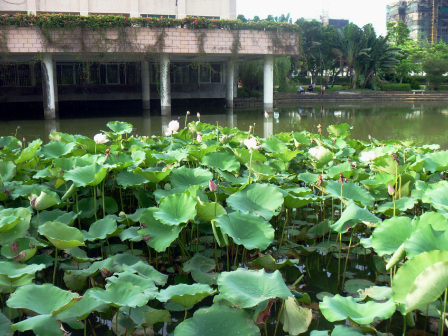 海南医学院
